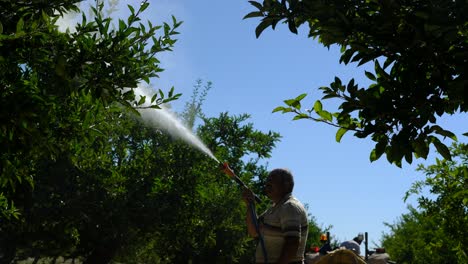 Farmer-spraying-apple-tree