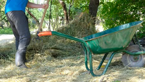 Hombre-Cargando-Hierba-En-Una-Carretilla