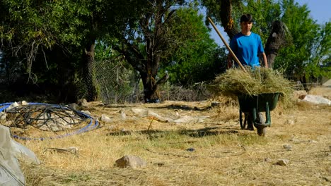 Jardinero-Cargando-Maleza-En-Carretilla