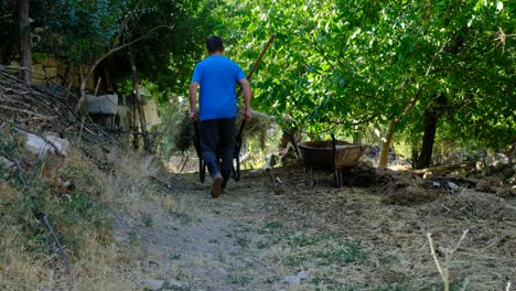 Farmer-loading-weed-into-wheelbarrow