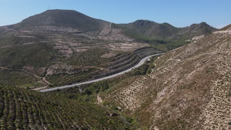 Terrenos-Al-Borde-De-La-Carretera-Forestados