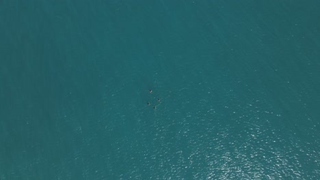 Gente-Nadando-Sobre-Drones