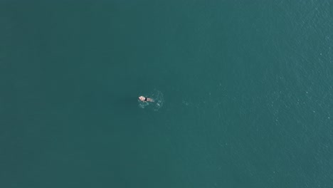 Mann,-Der-Im-Meer-Schwimmt