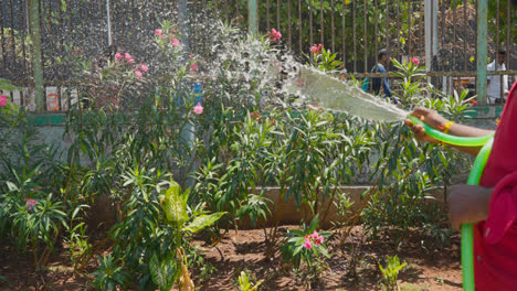 Close-Up-Of-Person-Watering-Plants-in-Garden-With-Hose-In-Mumbai-India-1