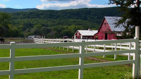 Un-Caballo-En-El-Fondo-De-Una-Valla-Blanca-Y-Un-Granero-Rojo-En-El-Día-En-Vermont