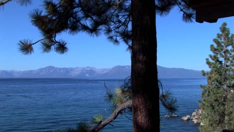 Lake-Tahoe-evergreen-trees-stand-at-the-edge-of-a-blue-lake-near-the-Sierra-Nevada-mountains