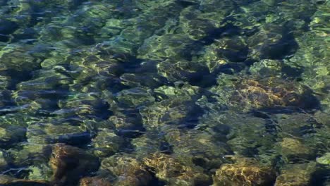Ripples-of-water-in-Lake-Tahoe-distort-the-view-of-rocks-below-the-surface-of-the-Sierra-Nevada-mountains--