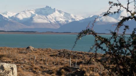 Lago-Argentina-Y-Los-Andes-Cubiertos-De-Nieve-En-La-Patagonia