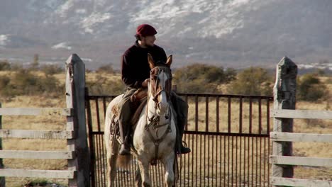 Gaucho-Cowboys-Aus-Argentinien-Reiten-Auf-Pferden-Und-Wachen-über-Ihre-Felder-Und-Herden