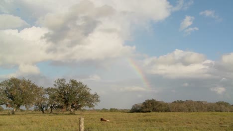 Time-lapse-of-a-rainbow-over-a-farm-field