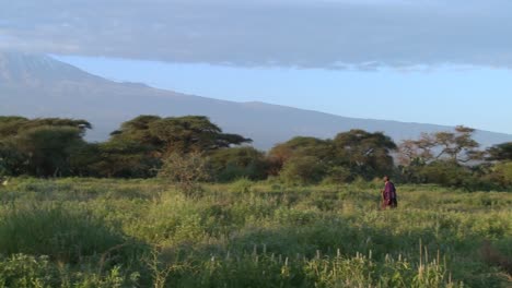 A-Masai-warrior-walks-in-front-of-Mt-Kilimanjaro-in-Tanzania-East-Africa-at-dawn
