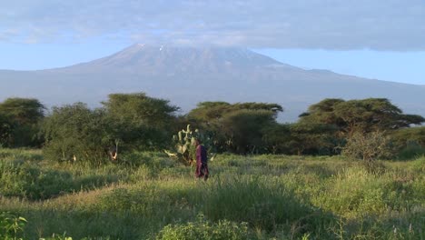 A-Masai-warrior-walks-in-front-of-Mt-Kilimanjaro-in-Tanzania-East-Africa-at-dawn-2