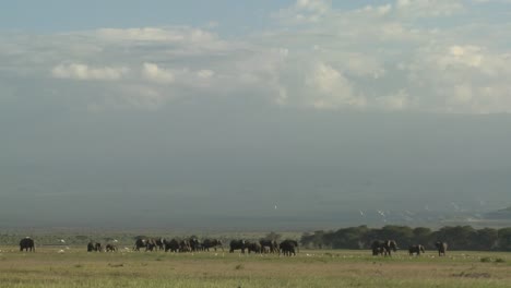Clouds-move-in-time-lapse-over-a-herd-of-elephants-on-the-African-savannah