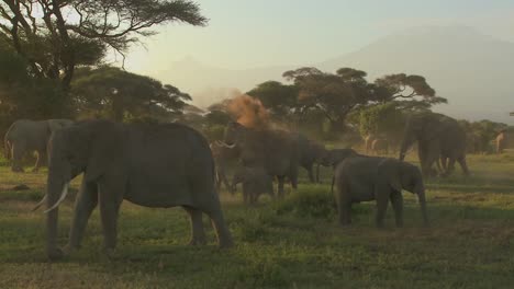 Large-herds-of-African-elephants-migrate-near-Mt-Kilimanjaro-in-Amboceli-National-Park-Tanzania-2