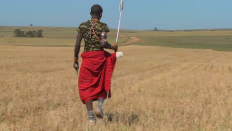 A-Masai-warrior-walks-through-wheat-fields-in-northern-Kenya