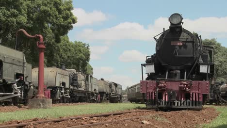 Old-rusting-steam-trains-sit-in-a-railway-yard