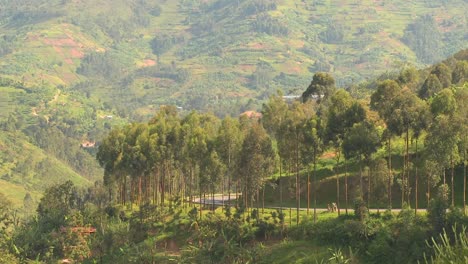 Minibus-and-minivan-travel-a-steep-mountain-road-in-Rwanda