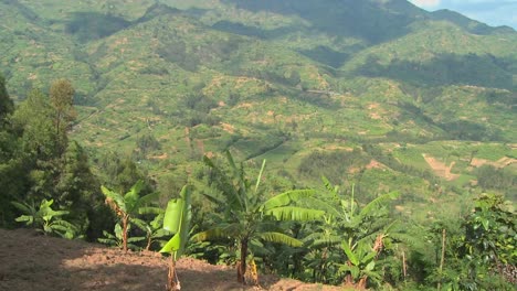 Tilt-up-reveals-the-lush-countryside-and-farmland-of-Rwanda