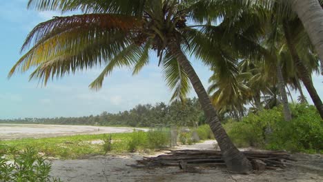 Pan-across-a-perfect-tropical-beach-on-a-tropical-island-paradise