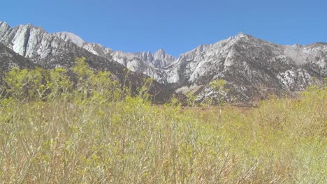 Brush-blows-in-front-of-Mt-Whitney-in-the-Sierra-Nevada-mountains-in-california