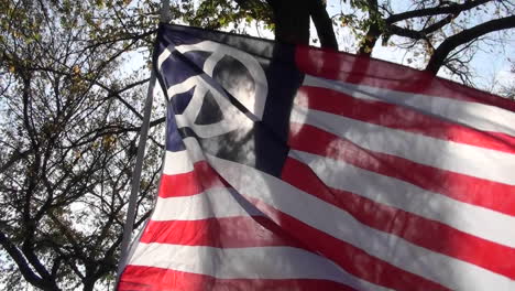Ein-Mann-Hält-Bei-Einer-Politischen-Kundgebung-In-Washington-DC-Eine-Amerikanische-Flagge-Mit-Einem-Friedenszeichen-Hoch