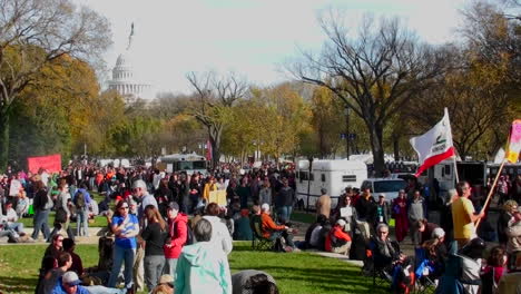 Huge-crowds-of-protestors-gather-on-the-mall-in-Washington-DC-for-a-protest-rally