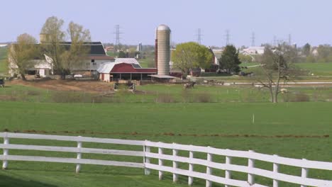 An-amish-farmer-uses-horses-to-plow-his-fields-4