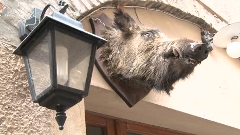 Ein-Wildschweinkopf-Hängt-Vor-Einem-Restaurant-In-Italien