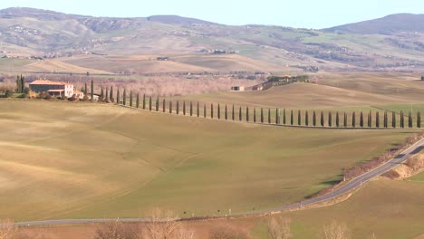 A-wide-shot-of-a-farm-villa-with-long-rows-of-trees-in-Tuscany-Italy