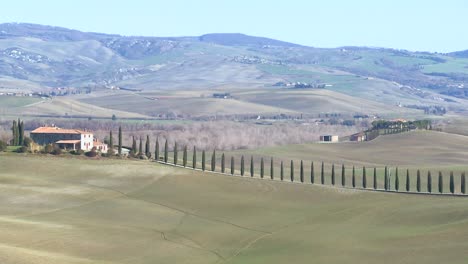 A-wide-shot-of-a-farm-villa-with-long-rows-of-trees-in-Tuscany-Italy-1