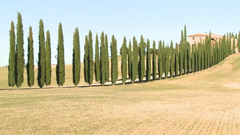 A-wide-shot-of-a-farm-villa-with-long-rows-of-trees-in-Tuscany-Italy-4
