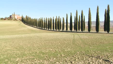 Eine-Weite-Aufnahme-Einer-Landwirtschaftsvilla-Mit-Langen-Baumreihen-In-Der-Toskana-Italien-5