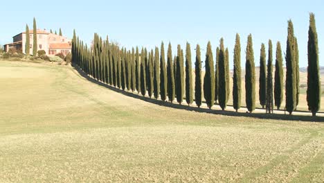 Un-Plano-General-De-Una-Finca-Con-Largas-Hileras-De-árboles-En-Toscana-Italia-6