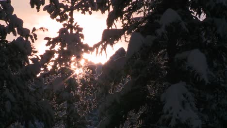 Sonne-Scheint-Durch-Bäume-Und-Schnee-In-Dieser-Generischen-Winterszene