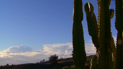 Gorgeous-clouds-behind-a-montaña-and-cactus-along-Californias-central-coast