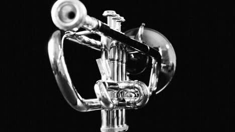 Trumpet-05