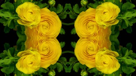 Yellow-Flower1