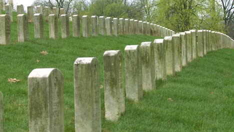Long-rows-of-graves-mark-a-World-War-One-cemetery