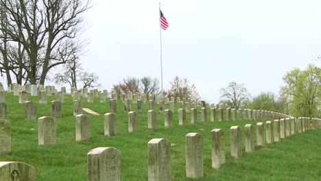 Long-rows-of-graves-mark-a-World-War-One-cemetery-1