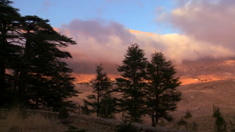 Clouds-move-across-the-mountains-with-cedar-trees-in-foreground-in-Lebanon