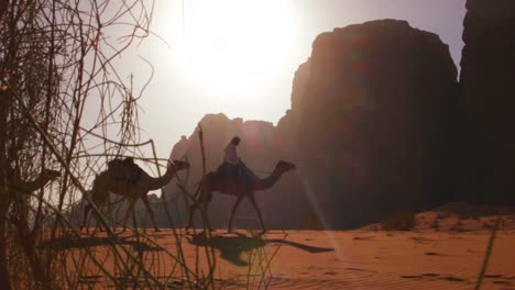 Kamelzug-Mit-Beduinenfahrer-Fährt-Durch-Die-Weiten-Wüstenlandschaften-Des-Wadi-Rum-In-Den-Saudischen-Wüsten-Jordaniens-4