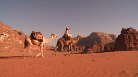 Ein-Kamelzug-Fährt-Direkt-über-Die-Kamera-In-Der-Saudischen-Wüste-Von-Wadi-Rum-Jordan-1