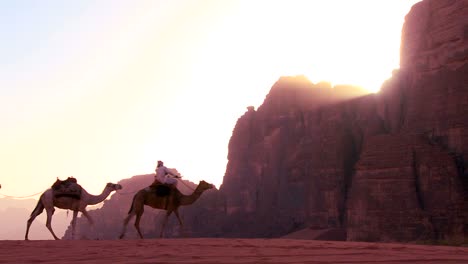 Ein-Kamelzug-Durchquert-Die-Saudische-Wüste-Im-Wadi-Rum-Jordan-2