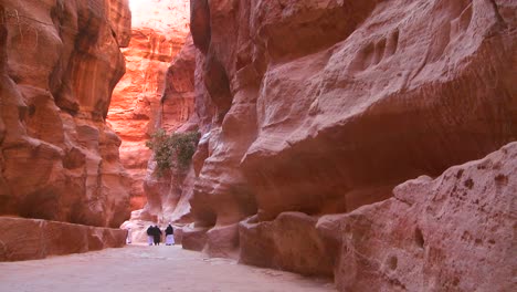 Los-Hombres-árabes-Caminan-Por-Los-Estrechos-Cañones-Que-Conducen-A-Petra-Jordan-1