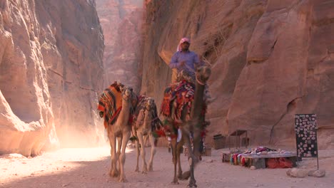 Men-camels-through-a-narrow-canyon-in-the-ancient-Nabatean-ruins-of-Petra-Jordan