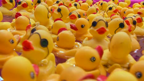 Rubber-duckies-float-in-a-pool-at-a-carnival