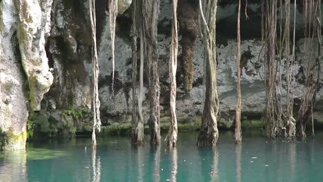 Cenote-03