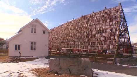 Los-Peces-Se-Cuelgan-Para-Secar-En-Bastidores-De-Madera-Piramidales-En-Las-Islas-Lofoten,-Noruega