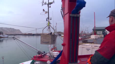 Fisch-Wird-Aus-Dem-Laderaum-Eines-Fischerbootes-An-Einem-Dock-In-Norwegen-Geholt