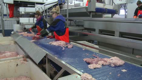 Innenaufnahmen-Einer-Fischverarbeitungsfabrik-In-Norwegen